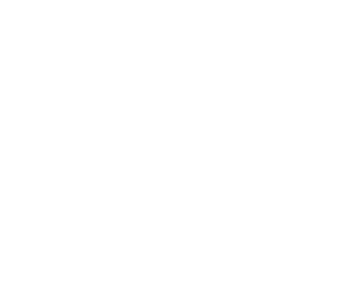 Kiwitax | Startup Business Services